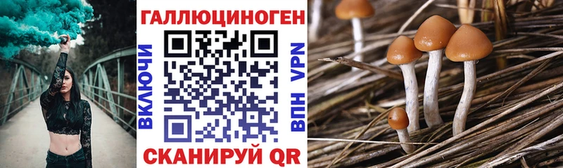 Галлюциногенные грибы GOLDEN TEACHER  Купить где  Мурино 